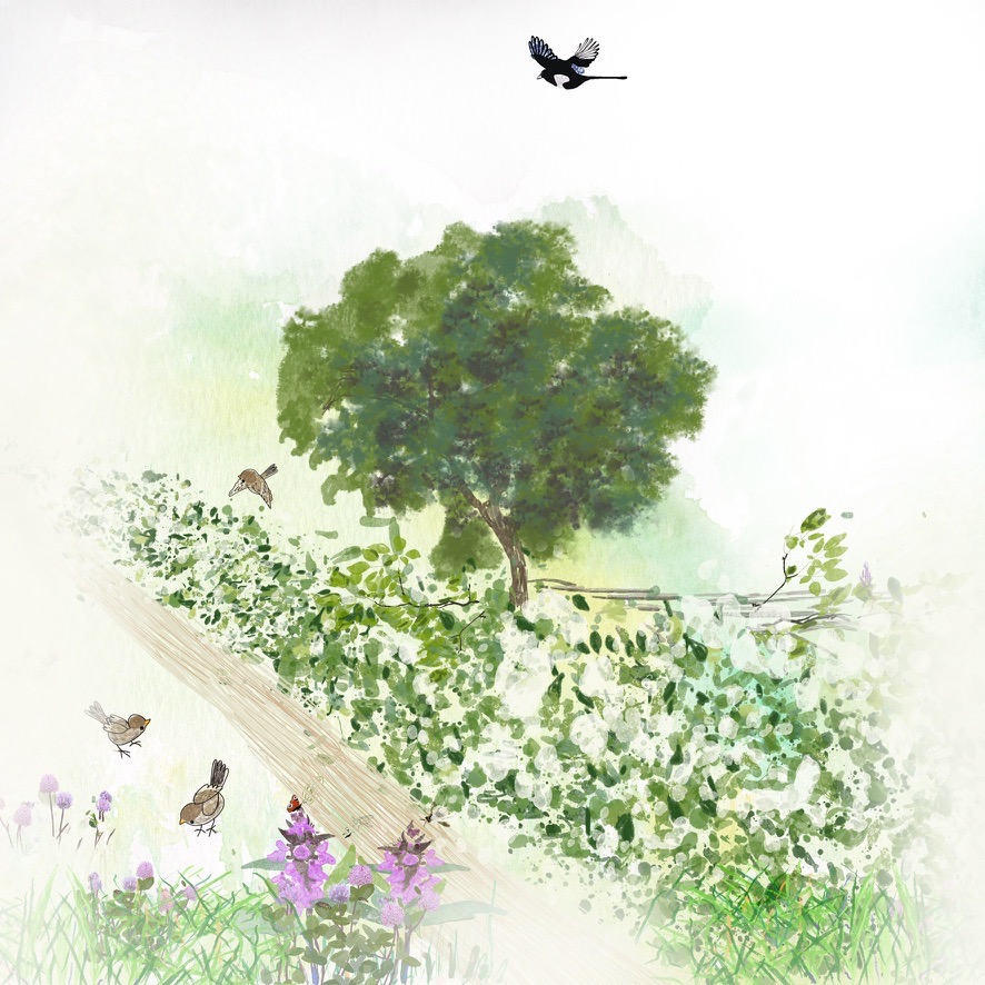 42084764 9AD0 4CE7 9FC9 FDAAF04BFCED_1_105_c.jpeg