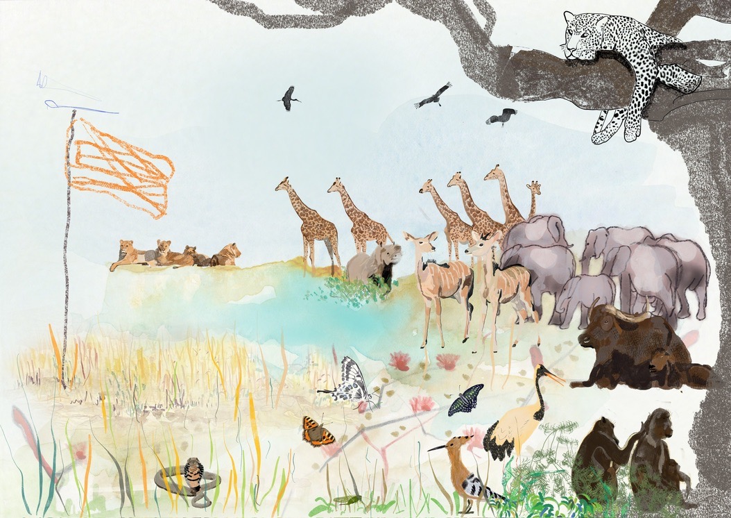 8C07F21C E6F2 456C 96EB A15B904DF64B_1_105_c.jpeg