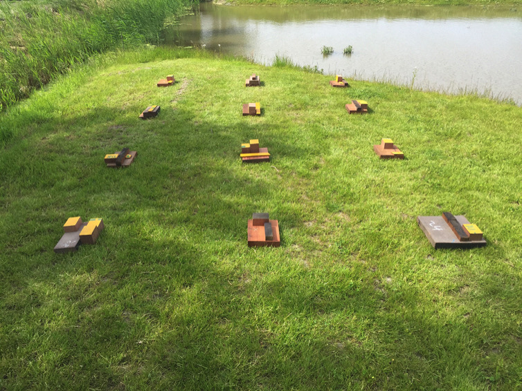 A1CE0C35 7109 4980 80BF 1239DFF8BF00.jpeg