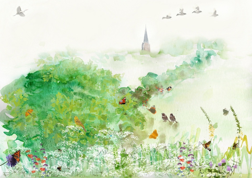 E7C46345 0668 44AB 95DF 7F0D7D9E7473_1_105_c.jpeg