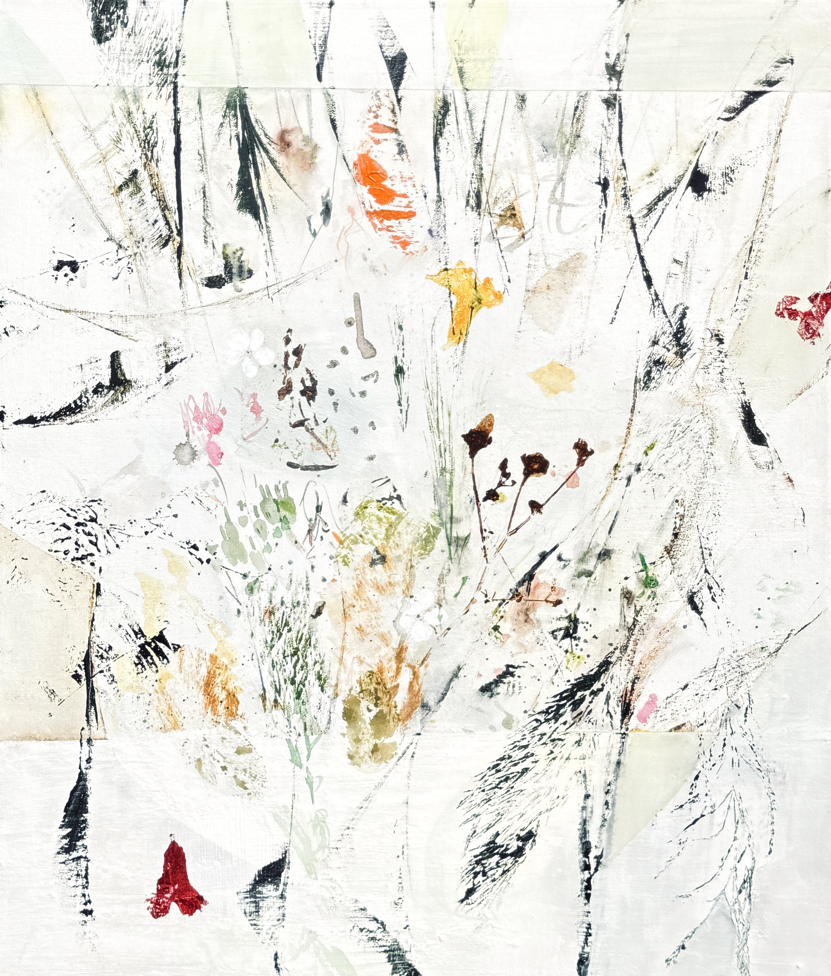 meadow%20garden.JPG